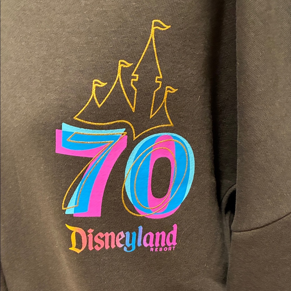 Disney 70th Anniversary Hoodie - Picture 6 of 9